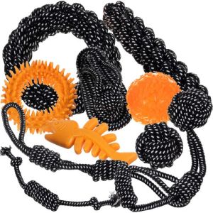 Set de Juguetes para Perros Purlov - 10 Piezas Divertidas