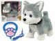 Perro de peluche interactivo con correa y canciones