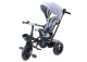 Triciclo PRO550 en color gris
