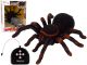 Tarántula Negra R/C con Control Remoto