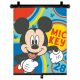 Cortina Solar Mickey Seven - Protección y Estilo para Tu Coche
