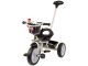 Triciclo PRO100 Negro con Ruedas EVA