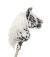 Caballo de Madera My Sweet Baby - Hobby Horse Leopardo