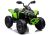 Montura Eléctrica CAN-AM Renegade Verde de Lean cars