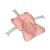 Soporte Suave de Baño Bear Blush Kikkaboo para Bebés