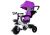 Triciclo PRO300 Violeta
