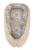 Baby Nest Double-sided Premium Cocoon For Infants Bobono- Dandelions Grey/ Beige