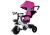 Triciclo PRO300 Rosa