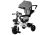 Triciclo PRO300 Gris
