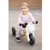 Bicicleta y triciclo, verde Salvia