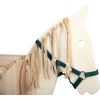 Caballo de Madera , Legler - imagen 13