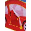 Coche Carpa