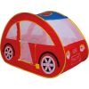 Coche Carpa