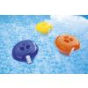 Dispensador químico Bestaway flotante con termómetro - imagen 13