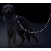 Correa Reflectante de 5m para Perros Grandes con Línea Gruesa y Contenedor de Bolsas de Residuos Incluido - imagen 7