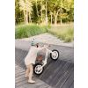 Bicicleta de equilibrio Inter con diseño pastel, altura ajustable, ruedas grandes y sillín de eco-cuero. Ideal para niños de 3 a 6 años.