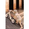Bicicleta de equilibrio Inter con diseño pastel, altura ajustable, ruedas grandes y sillín de eco-cuero. Ideal para niños de 3 a 6 años.