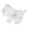 Gato Blanco Interactivo - imagen 13