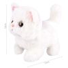 Gato Blanco Interactivo - imagen 19