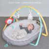 Gimnasio Musical Polo Norte , Taf Toys