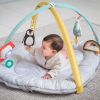 Gimnasio Musical Polo Norte , Taf Toys