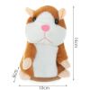 Hamster Interactivo