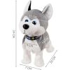 Husky Interactivo. Perro que ladra y reacciona al Toque - imagen 13