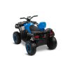 Quad Rush Toyz en uso en el jardín para niños