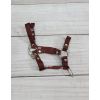 Halter A3 y Tether para Hobby Horse My Sweet Baby - imagen 2