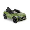 Audi A5L Toyz en el jardín - diversión al aire libre