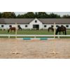 Salto Obstáculo para Hobby Horse My Sweet Baby 120cm - imagen 2