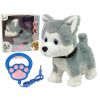Perro de peluche interactivo con correa y canciones