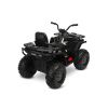 Quad Toyz Terra Black en acción