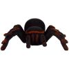Tarántula Negra R/C con Control Remoto