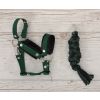 Halter A3 para Hobby Horse de My Sweet Baby con Tether - imagen 2