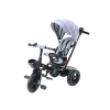 Triciclo PRO550 en color gris