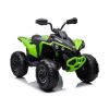 Montura Eléctrica CAN-AM Renegade Verde de Lean cars