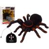 Tarántula Negra R/C con Control Remoto