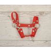 Halter para Hobby Horse My Sweet Baby - A4 y A5 - Rojo - imagen 2