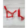 Set de Halter y Tether para Hobby Horse My Sweet Baby - Rojo - imagen 3