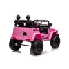 Batería Auto Toyota FJ Rosa