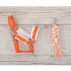 Halter A3 con Furry y Tether My Sweet Baby para Hobby Horse - imagen 2