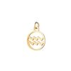 Llamador de Ángeles Proudmama Charm Nola Horoscope Aquarius