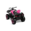 Panorámica del Toyz Quad Rush Rosa