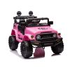 Batería Auto Toyota FJ Rosa