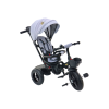 Triciclo PRO550 en color gris