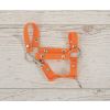 Halter My Sweet Baby para Hobby Horse A4 y A5 - Naranja - imagen 2
