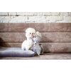 Alpaca Cuddle Innogio - Peluche Blanco de Alta Calidad - imagen 2