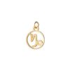 Llamador de Ángeles Proudmama Charm Nola Horoscope Capricorn