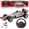 Coche de Carreras RC Control Remoto 1:12 Plata